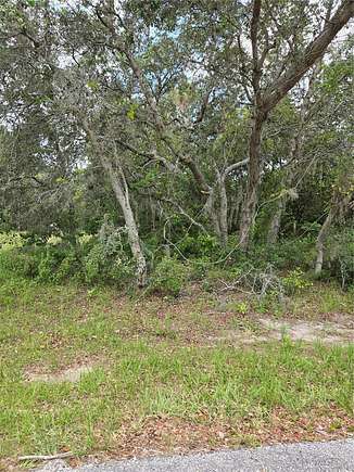 0.29 Acres of Land for Sale in Poinciana, Florida