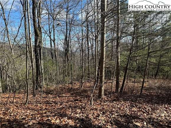 10.05 Acres of Recreational Land for Sale in Lenoir, North Carolina