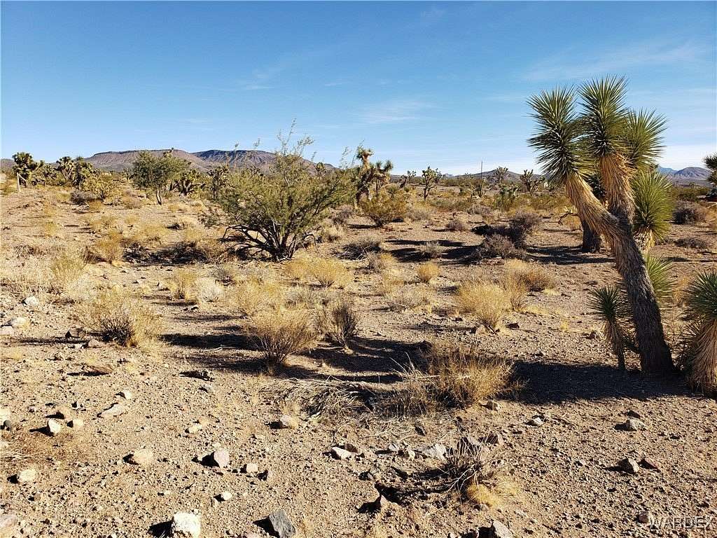 1 Acre of Residential Land for Sale in White Hills, Arizona