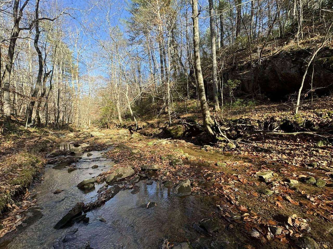 33.09 Acres of Recreational Land for Sale in Goode, Virginia