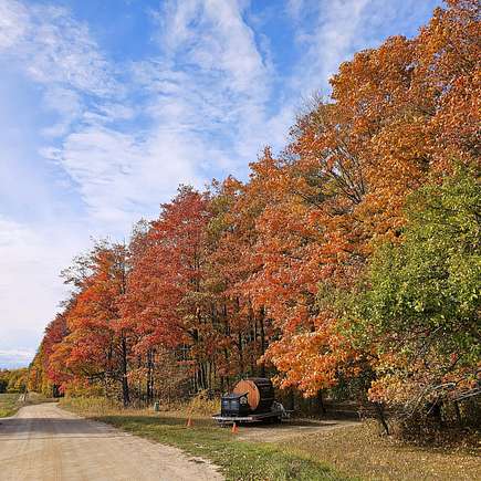 10.006 Acres of Land for Sale in Engadine, Michigan