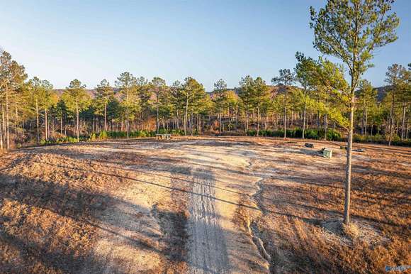 40 Acres of Land for Sale in Gaylesville, Alabama