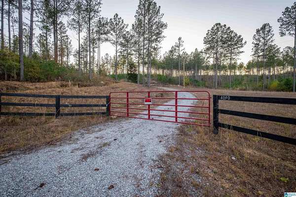 40 Acres of Land for Sale in Gaylesville, Alabama