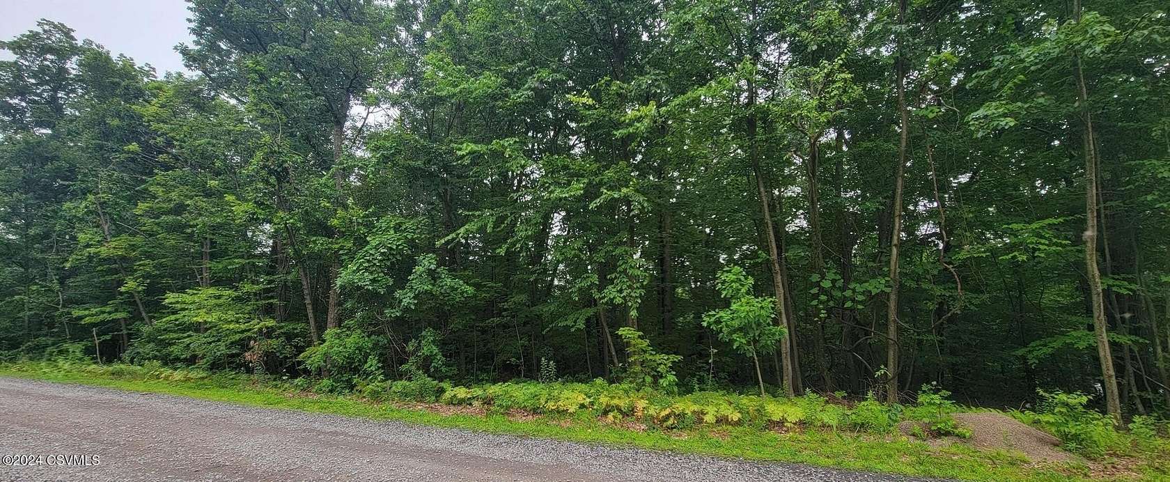 1.07 Acres of Residential Land for Sale in Nescopeck, Pennsylvania