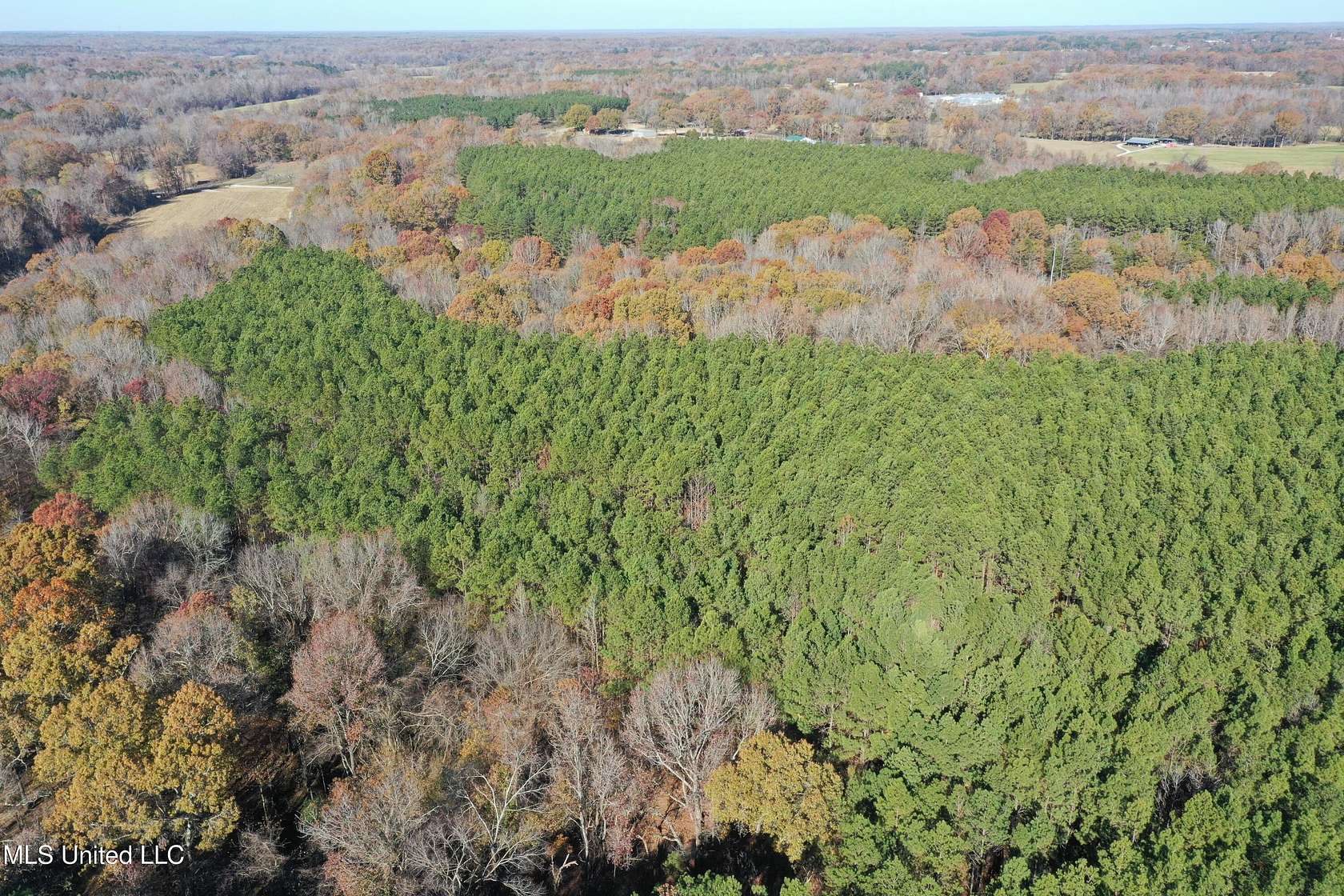 28.3 Acres of Recreational Land for Sale in Lamar, Mississippi