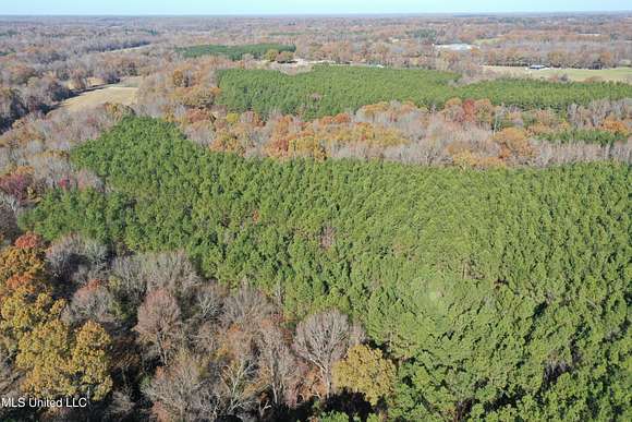 28.32 Acres of Recreational Land for Sale in Lamar, Mississippi