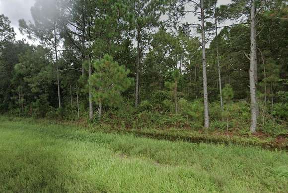 0.51 Acres of Residential Land for Sale in Polk City, Florida