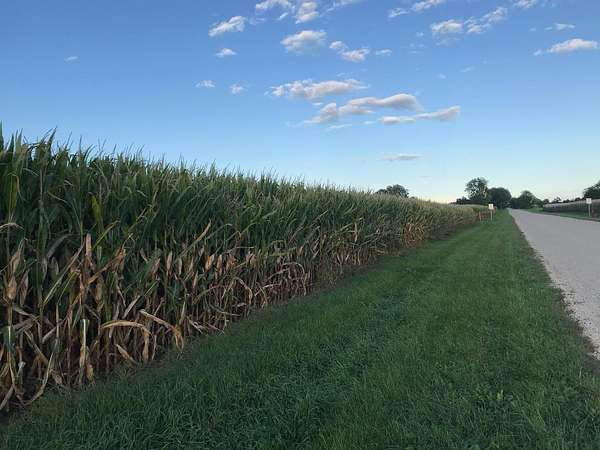 120 Acres of Agricultural Land for Sale in Winnebago, Illinois
