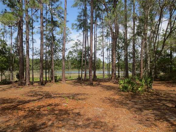 6.95 Acres of Residential Land for Sale in Silver Springs, Florida