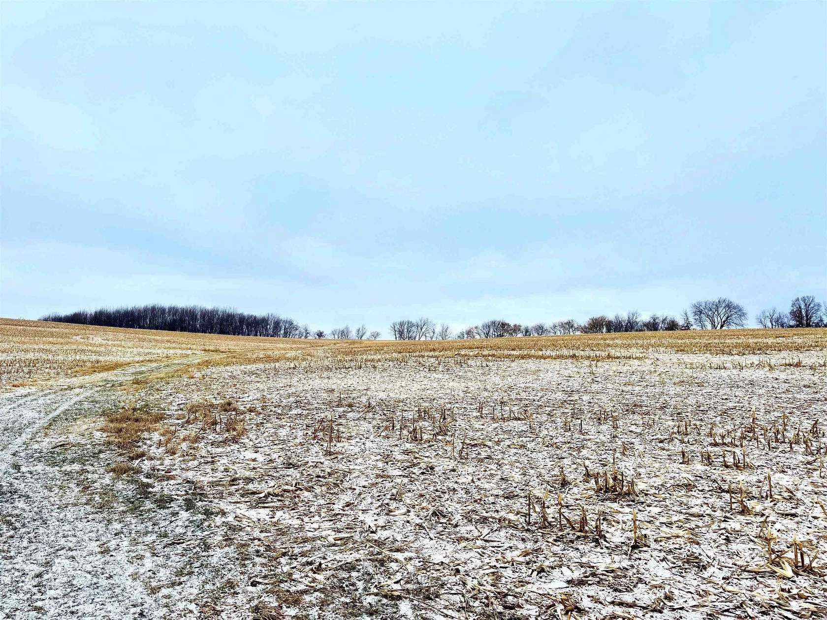 330 Acres of Agricultural Land for Auction in Loganville, Wisconsin