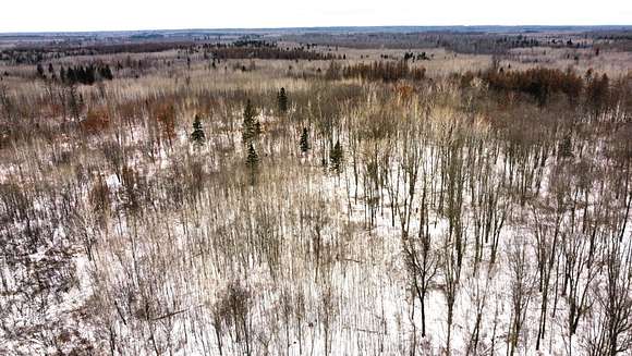 63 Acres of Recreational Land for Sale in Prentice, Wisconsin