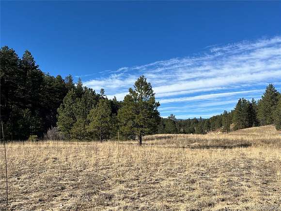 41.41 Acres of Recreational Land for Sale in Weston, Colorado