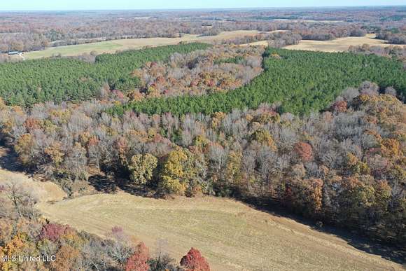 25.37 Acres of Recreational Land for Sale in Lamar, Mississippi