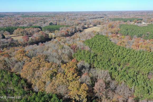 21.37 Acres of Land for Sale in Lamar, Mississippi