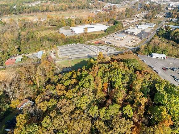 6 Acres of Improved Mixed-Use Land for Sale in Ellijay, Georgia