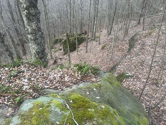 16.51 Acres of Recreational Land for Sale in Spencer, West Virginia