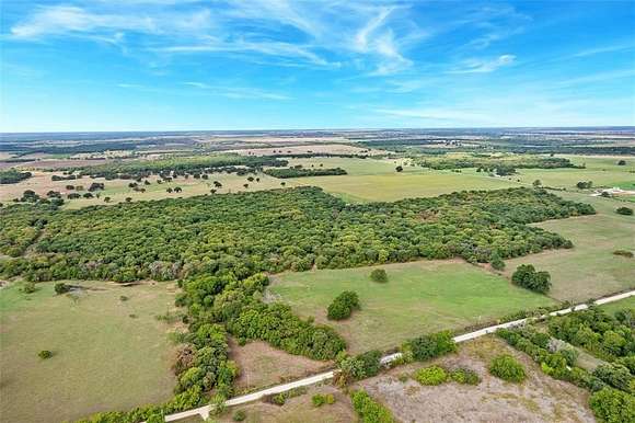 45 Acres of Recreational Land for Sale in Blum, Texas