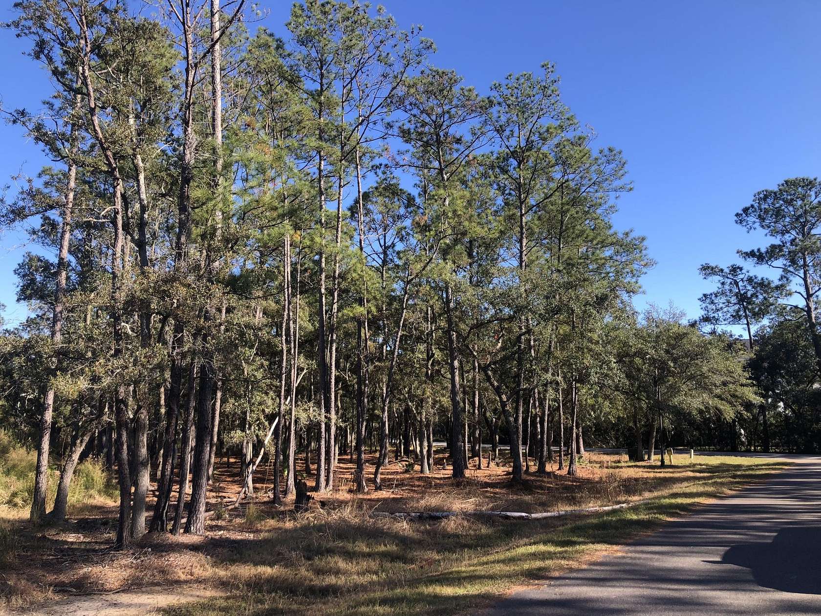 1.04 Acres of Residential Land for Sale in Johns Island, South Carolina