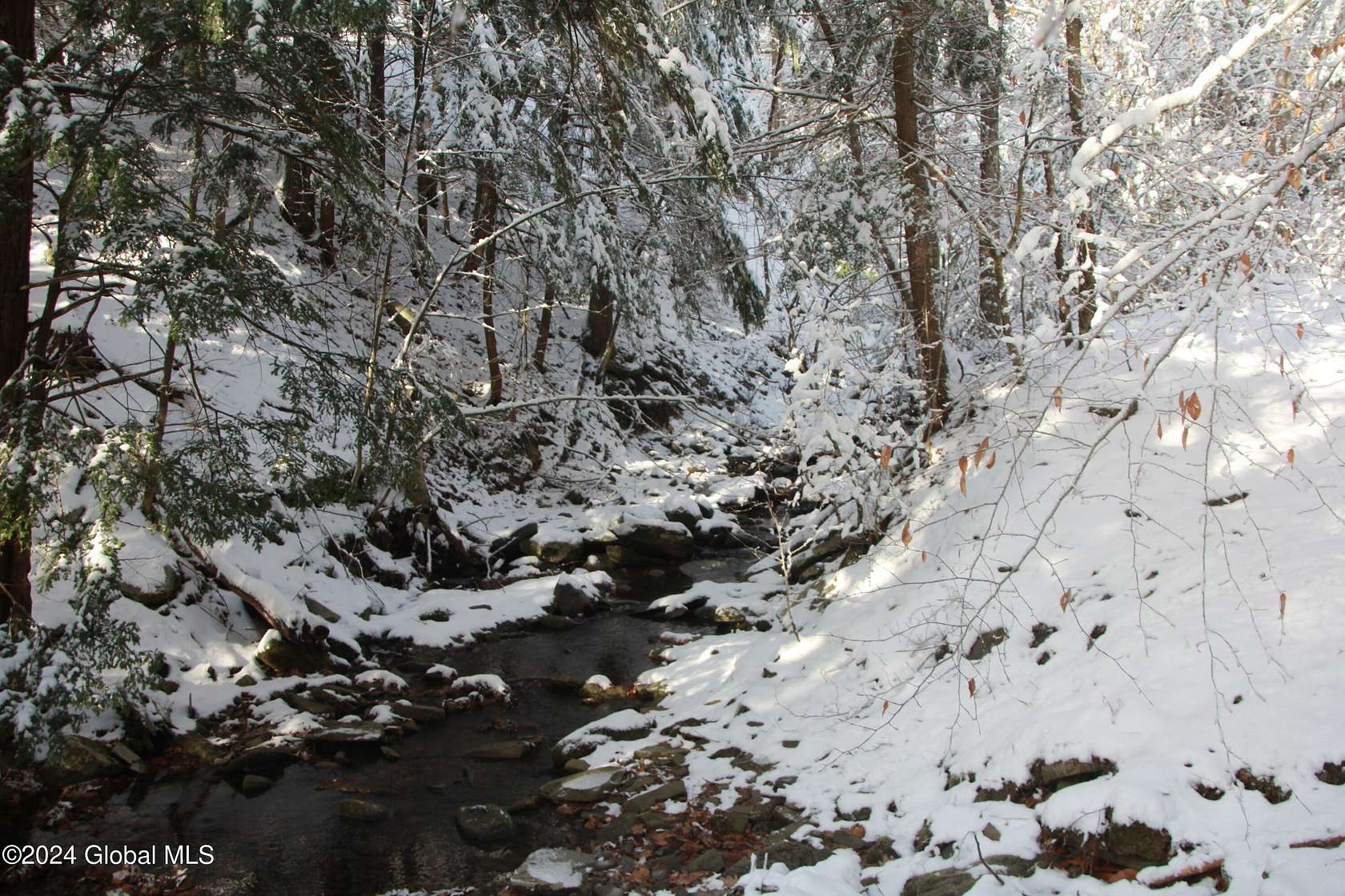 128 Acres of Recreational Land for Sale in Middleburgh, New York