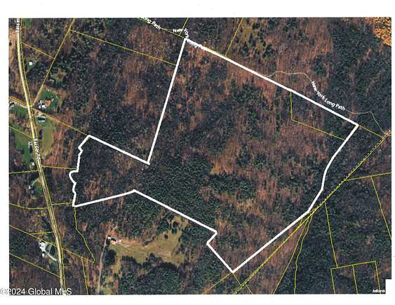 128.34 Acres of Recreational Land for Sale in Middleburgh, New York