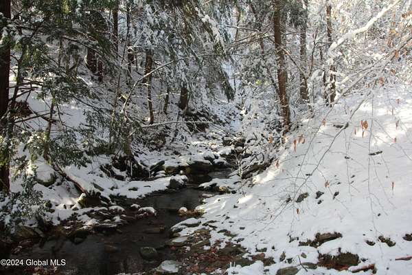 128 Acres of Recreational Land for Sale in Middleburgh, New York