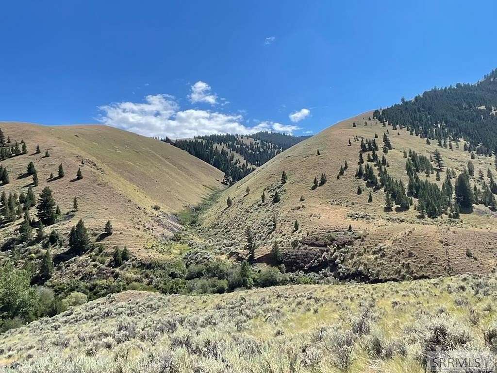 51.76 Acres of Recreational Land for Sale in Tendoy, Idaho