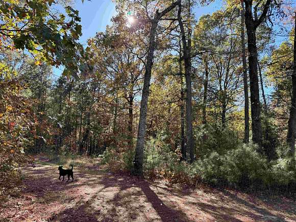 10.54 Acres of Land for Sale in Monticello, Arkansas