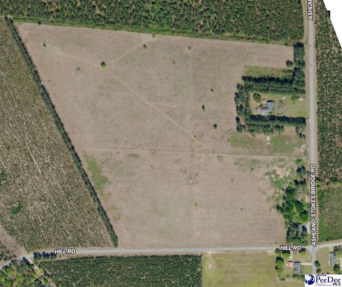 7 Acres of Land for Sale in Bishopville, South Carolina