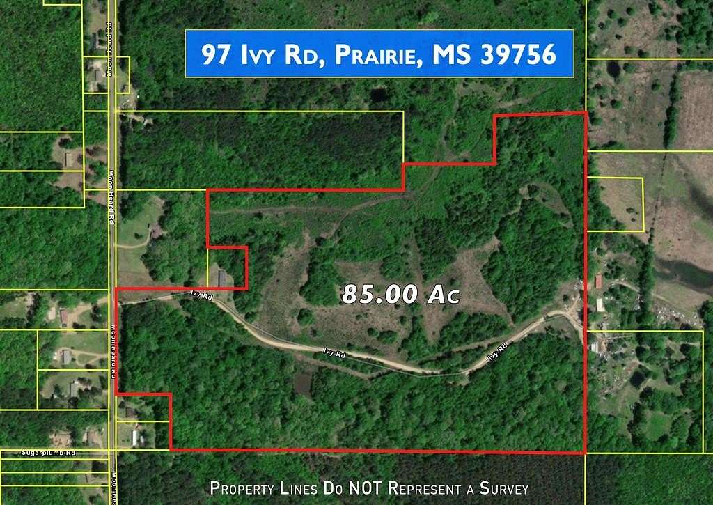 85 Acres of Recreational Land for Sale in Prairie, Mississippi