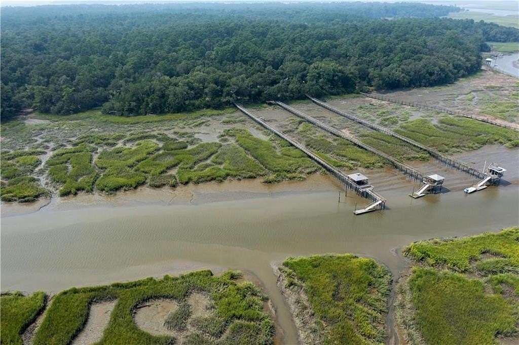 25.7 Acres of Land for Sale in Crescent, Georgia