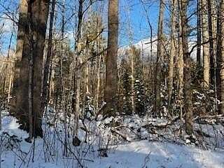 10.4 Acres of Recreational Land & Farm for Sale in Andover, Maine