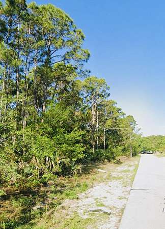 0.3 Acres of Residential Land for Sale in Palm Bay, Florida