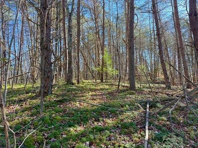 20.8 Acres of Recreational Land for Sale in Monterey, Tennessee