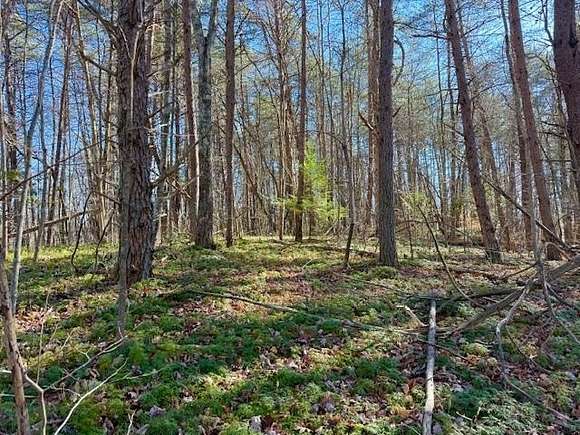 20.78 Acres of Recreational Land for Sale in Monterey, Tennessee