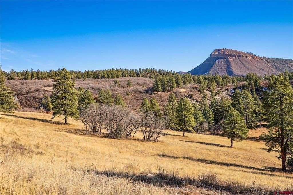 35.692 Acres of Recreational Land for Sale in Durango, Colorado