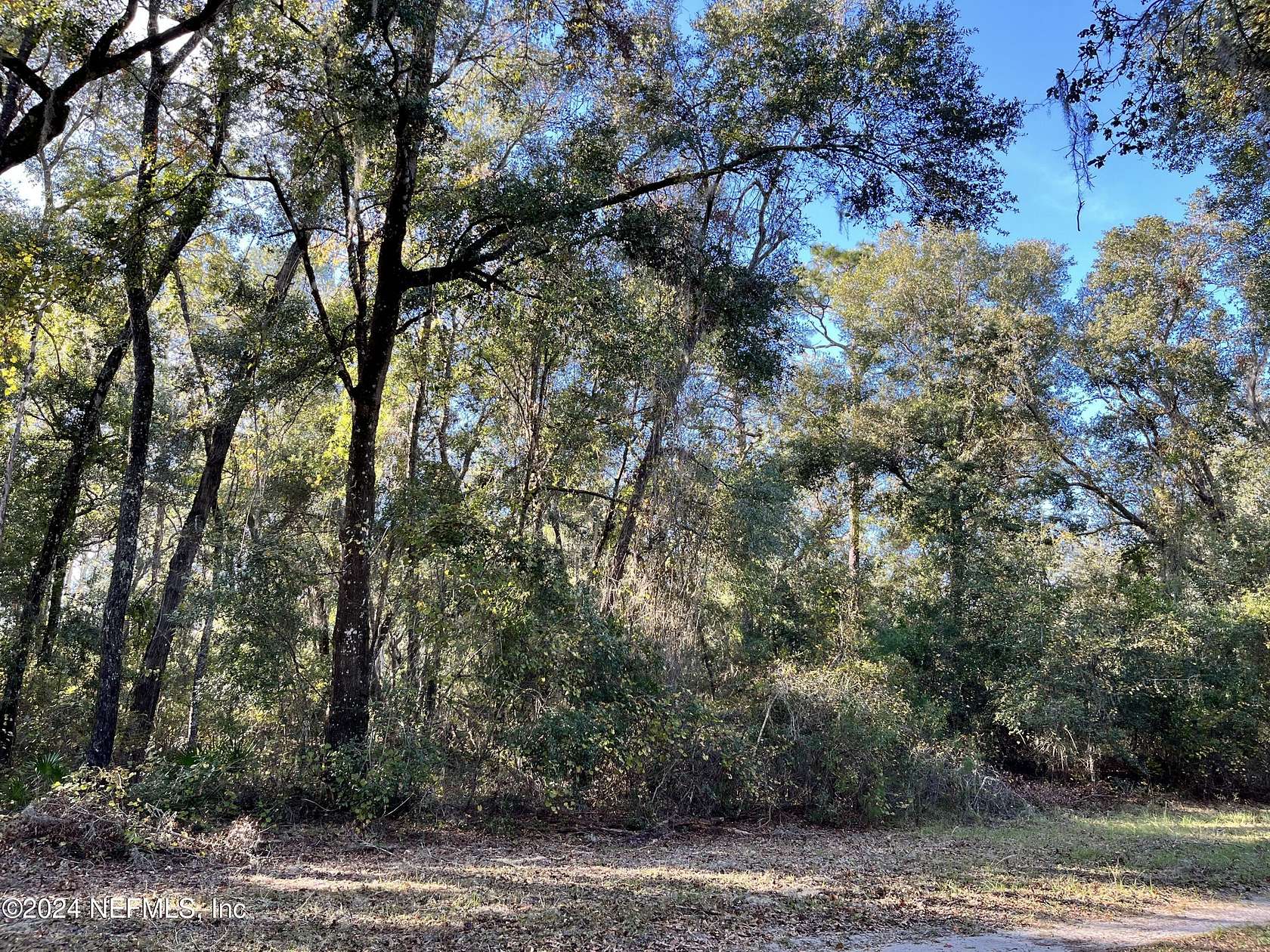 3 Acres of Land for Sale in Pomona Park, Florida