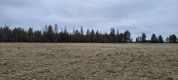 10.41 Acres of Land for Sale in Deer Park, Washington