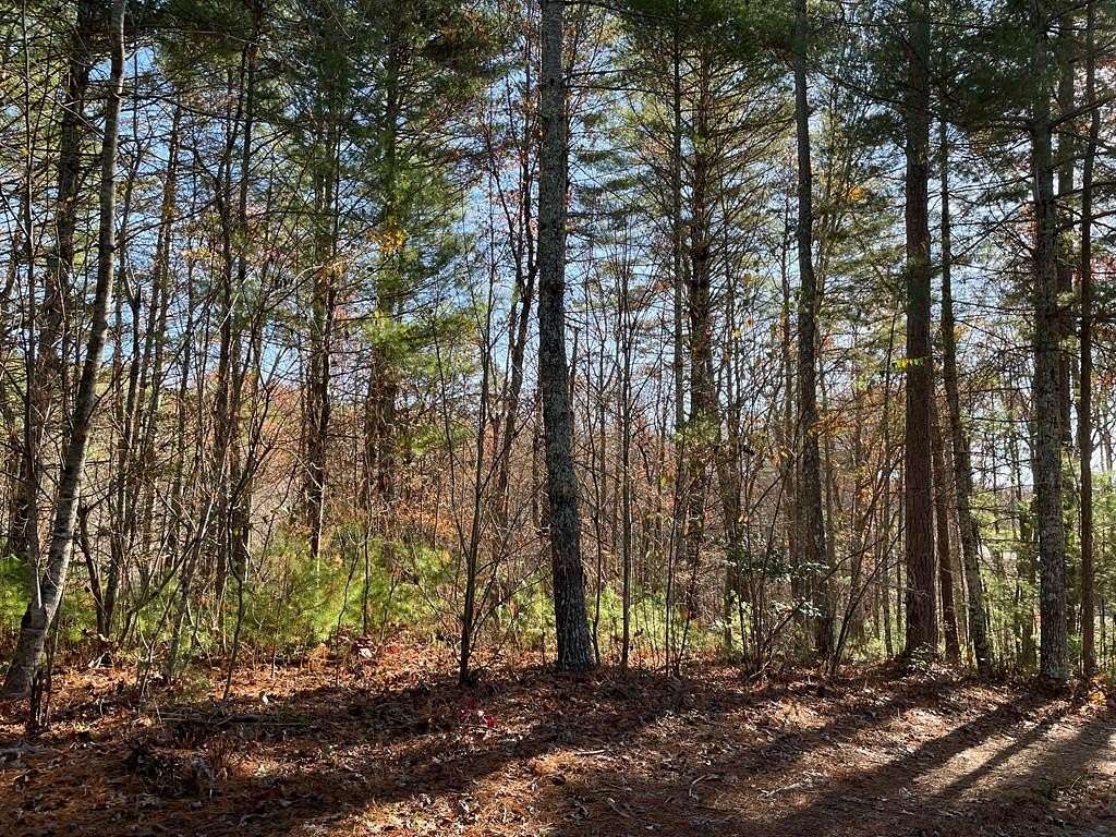 30.77 Acres of Land for Sale in Murphy, North Carolina