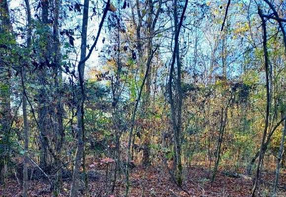 10 Acres of Land for Sale in Bauxite, Arkansas