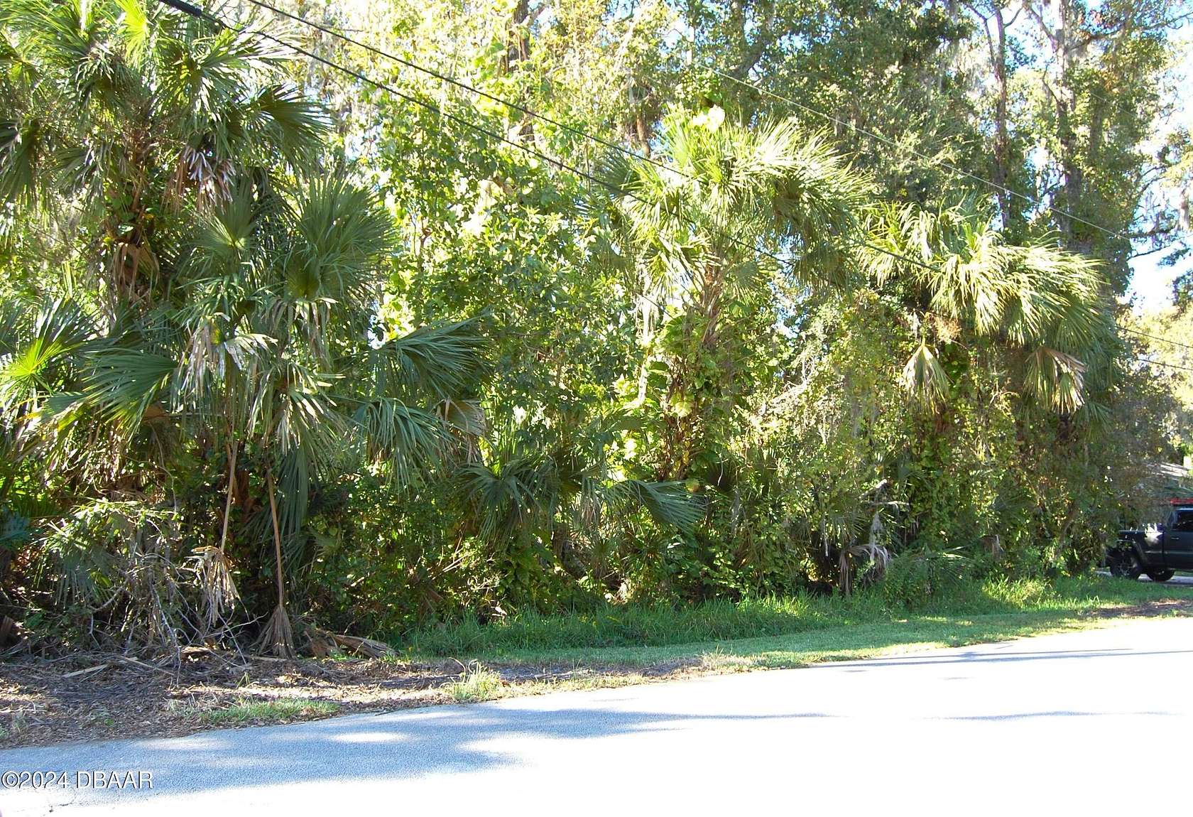 0.22 Acres of Residential Land for Sale in New Smyrna Beach, Florida