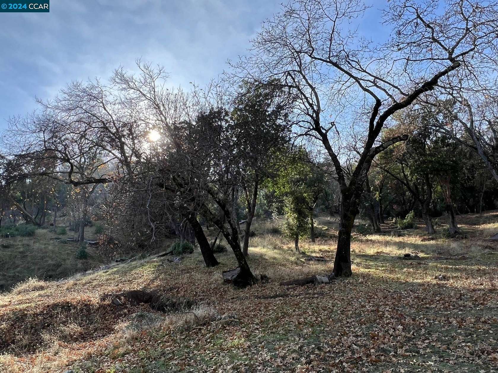 0.235 Acres of Residential Land for Sale in Napa, California