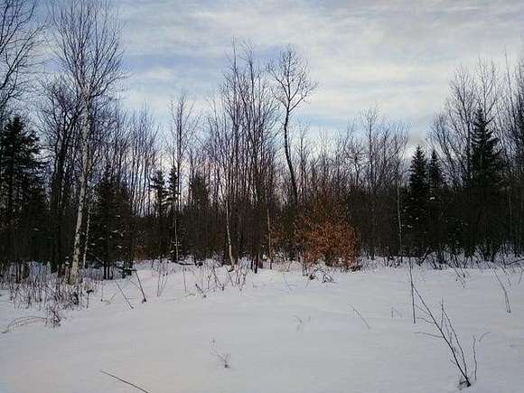 7 Acres of Residential Land for Sale in Alton, Maine