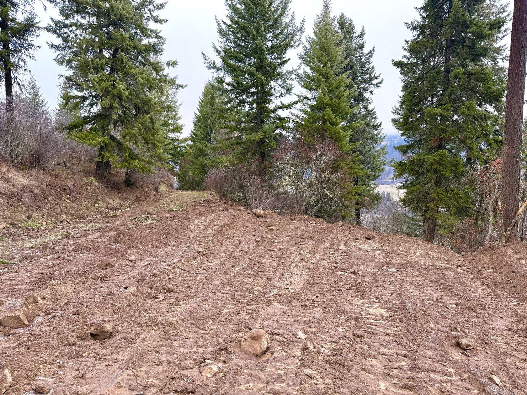 24.67 Acres of Land for Sale in Orofino, Idaho