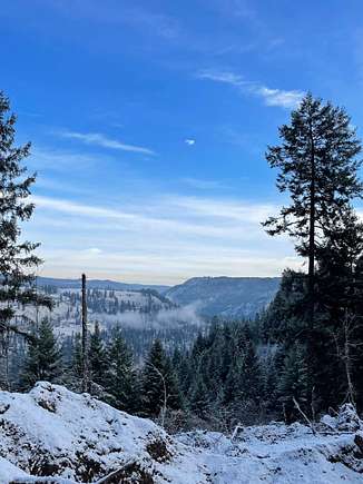 24.67 Acres of Land for Sale in Orofino, Idaho