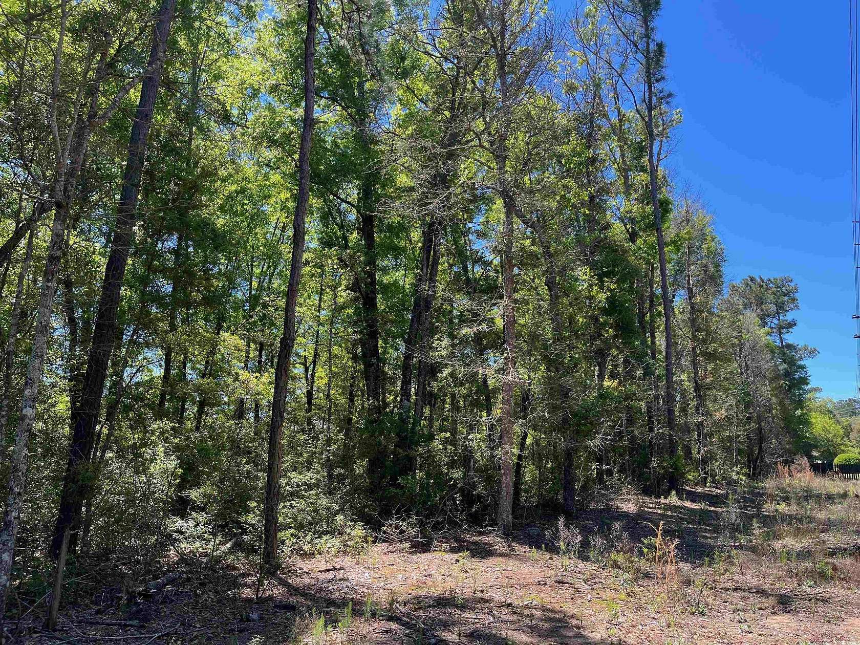 0.99 Acres of Residential Land for Sale in Pawleys Island, South Carolina