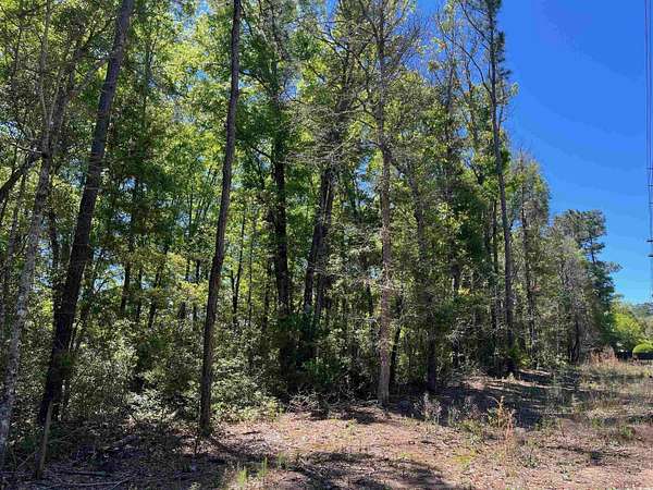 0.99 Acres of Residential Land for Sale in Pawleys Island, South Carolina