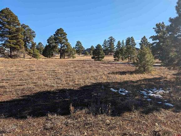 0.27 Acres of Mixed-Use Land for Sale in Pagosa Springs, Colorado