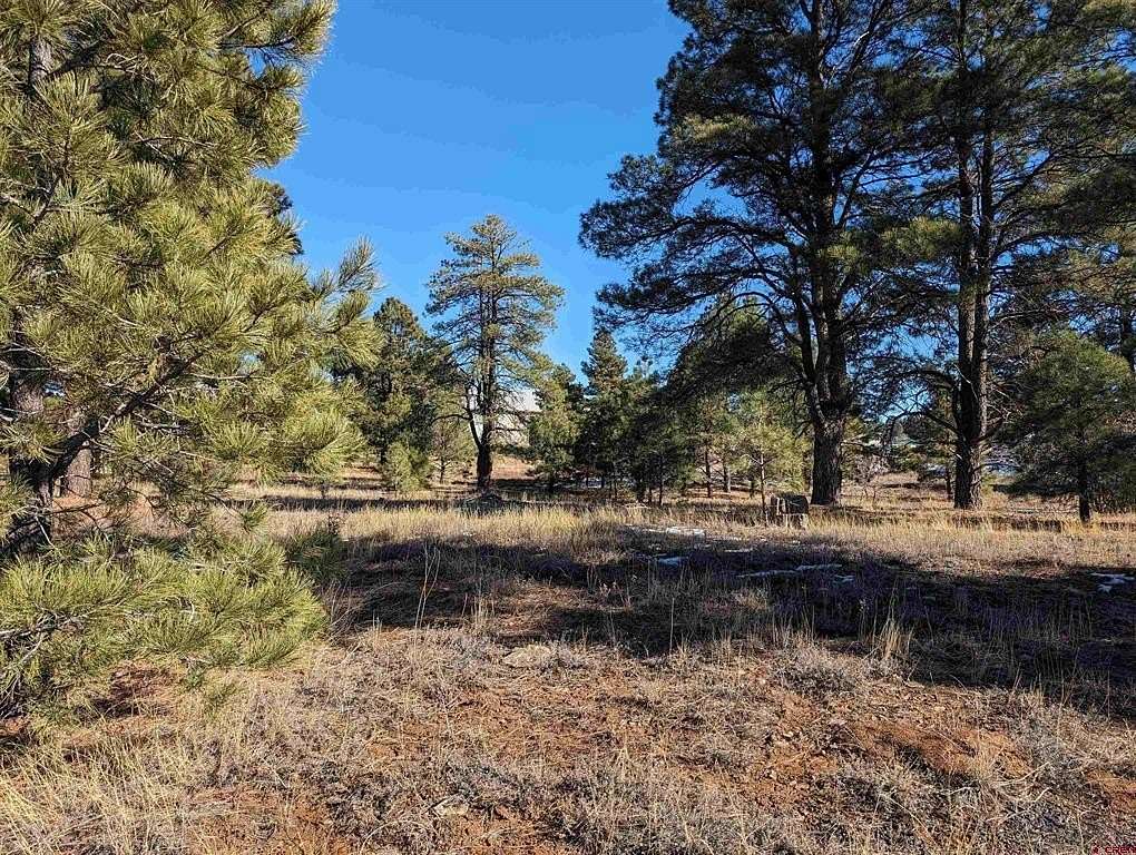 0.58 Acres of Mixed-Use Land for Sale in Pagosa Springs, Colorado