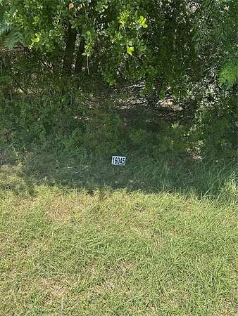 0.41 Acres of Land for Sale in Whitney, Texas