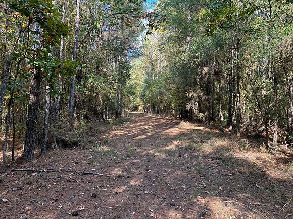 42 Acres of Recreational Land & Farm for Sale in Roxie, Mississippi